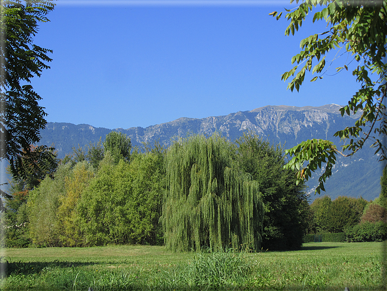 foto Paesaggi tra i Colli